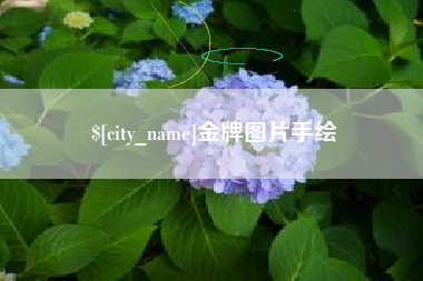 亳州金牌图片手绘
