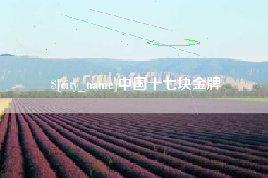 亳州中国十七块金牌