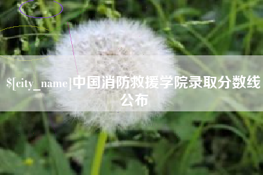 亳州中国消防救援学院录取分数线公布