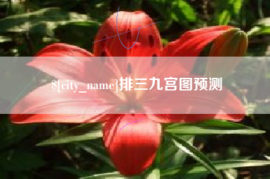 亳州排三九宫图预测