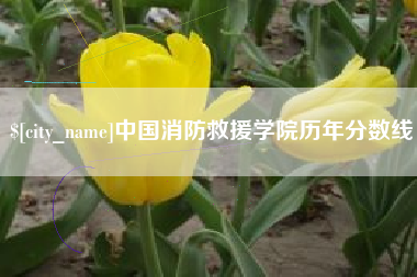 亳州中国消防救援学院历年分数线