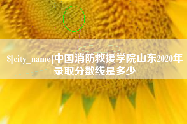 亳州中国消防救援学院山东2020年录取分数线是多少