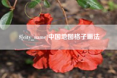 亳州中国地图格子画法