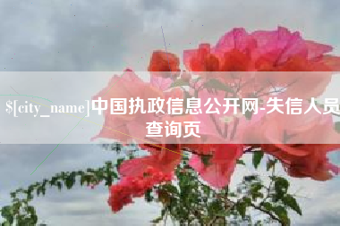亳州中国执政信息公开网-失信人员查询页