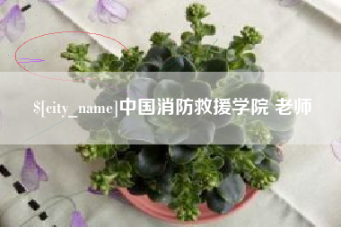 亳州中国消防救援学院 老师