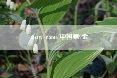 亳州中国第9金