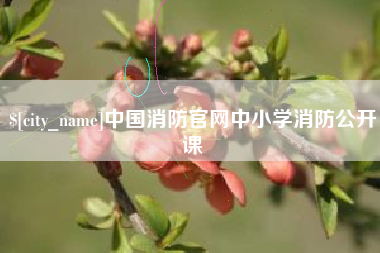 亳州中国消防官网中小学消防公开课