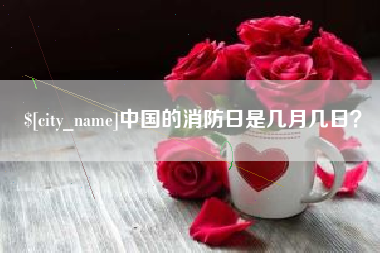 亳州中国的消防日是几月几日？