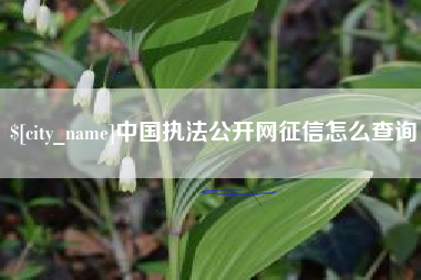 亳州中国执法公开网征信怎么查询