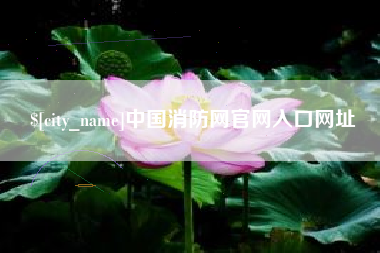 亳州中国消防网官网入口网址