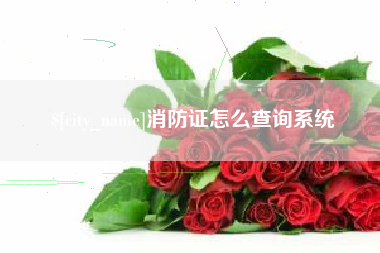 亳州消防证怎么查询系统
