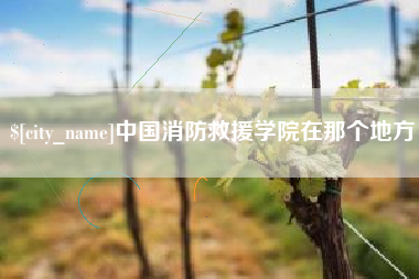 亳州中国消防救援学院在那个地方