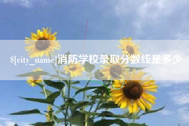 亳州消防学校录取分数线是多少