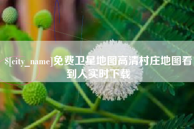 亳州免费卫星地图高清村庄地图看到人实时下载