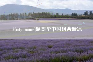 亳州温哥华中国组合滑冰