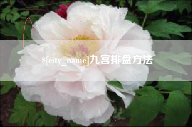亳州九宫排盘方法