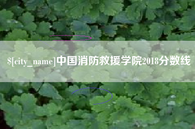 亳州中国消防救援学院2018分数线