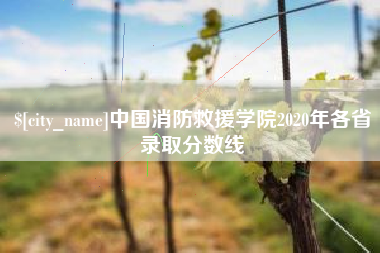 亳州中国消防救援学院2020年各省录取分数线