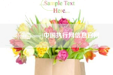 亳州中国执行网信息官网