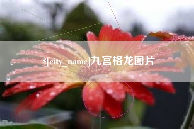 亳州九宫格龙图片