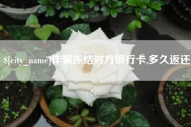 亳州诈骗冻结对方银行卡,多久返还