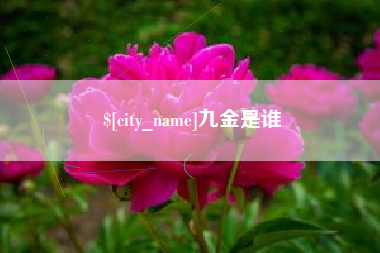 亳州九金是谁