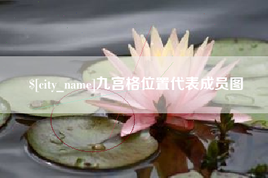 亳州九宫格位置代表成员图