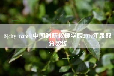 亳州中国消防救援学院2019年录取分数线