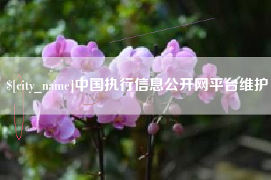 亳州中国执行信息公开网平台维护