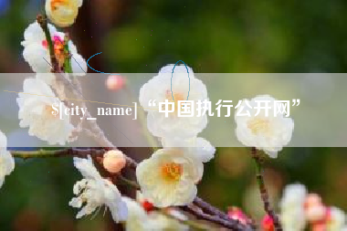 亳州“中国执行公开网”