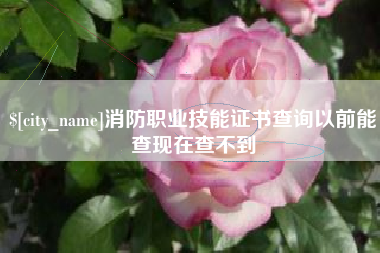 亳州消防职业技能证书查询以前能查现在查不到