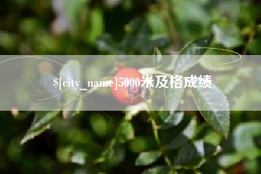 亳州5000米及格成绩