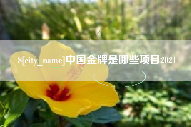 亳州中国金牌是哪些项目2021