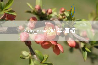 亳州2021年9宫格