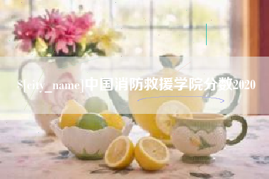 亳州中国消防救援学院分数2020