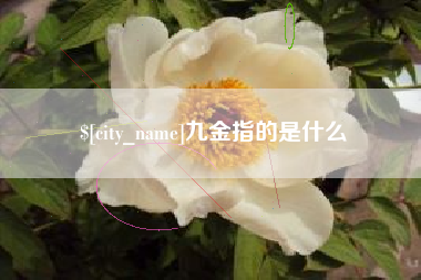 亳州九金指的是什么