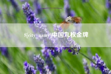 亳州中国九枚金牌