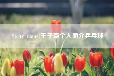 亳州王子豪个人简介乒乓球
