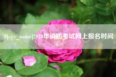 亳州2020年消防考试网上报名时间
