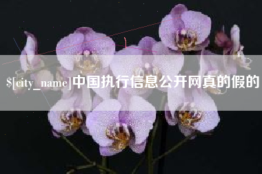 亳州中国执行信息公开网真的假的