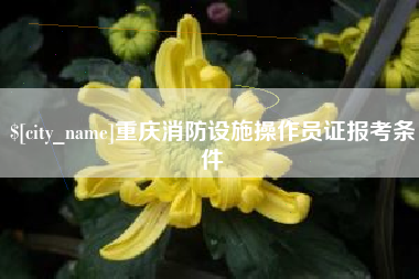 亳州重庆消防设施操作员证报考条件