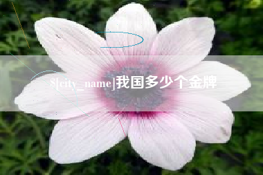 亳州我国多少个金牌