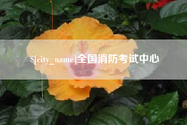 亳州全国消防考试中心