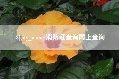 亳州消防证查询网上查询