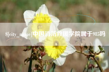 亳州中国消防救援学院属于985吗