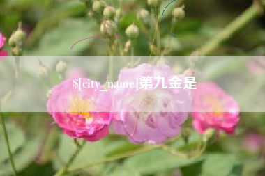 亳州第九金是