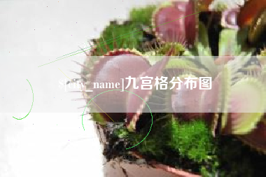 亳州九宫格分布图