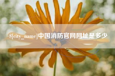 亳州中国消防官网网址是多少
