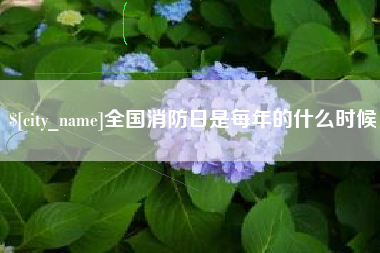 亳州全国消防日是每年的什么时候
