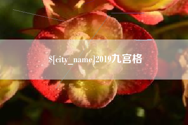 亳州2019九宫格